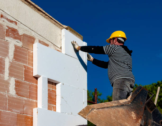 Best Spray Foam Insulation  in Collins, MS