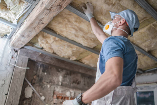 Best Residential Insulation Services  in Collins, MS
