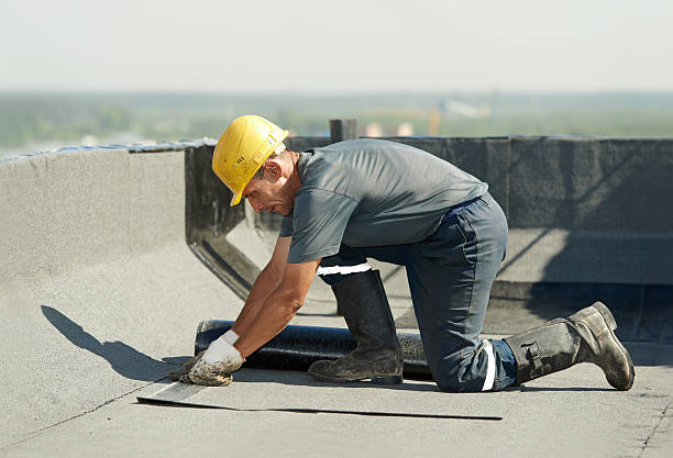 Best Wall Insulation Contractor  in Collins, MS